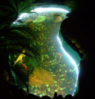 Vandtæt 5m LED lysbånd + strømforsyning