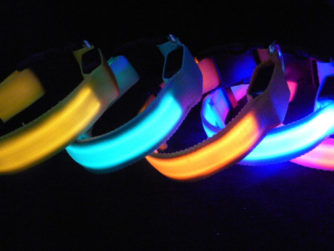 LED Hundehalsbånd, 5 farver, Small