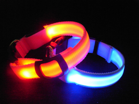 LED Hundehalsbånd, 5 farver, Small