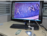 2MP 1-500X Otoskop/Mikroskop - NYHED