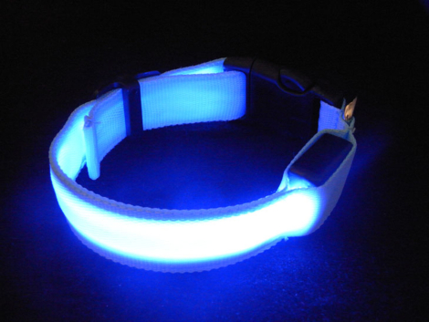 LED Hundehalsbånd, 5 farver, Medium