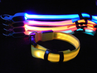 LED Hundehalsbånd, 4 farver, Large