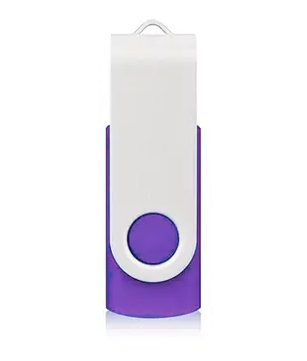 256 GB memorystick, lilla, lukket